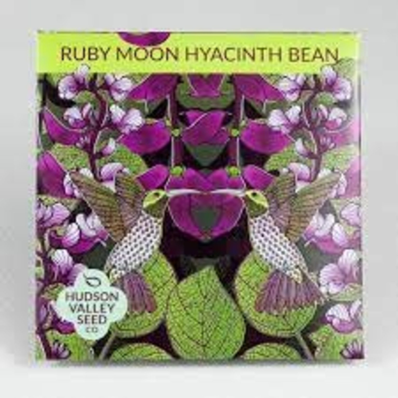 Hudson Valley Seeds Ruby Moon Hyacinth Bean