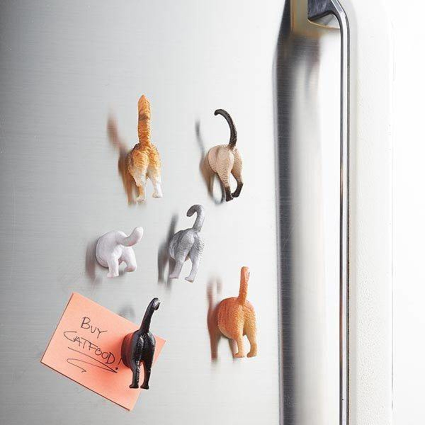 Kikkerland Cat Butt Magnets