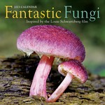 Workman Publishing Fantastic Fungi Wall Calendar 2024