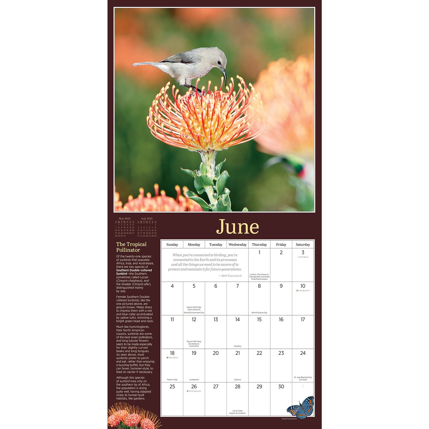 Workman Publishing Audubon's Watercolors  Wall Calendar 2026