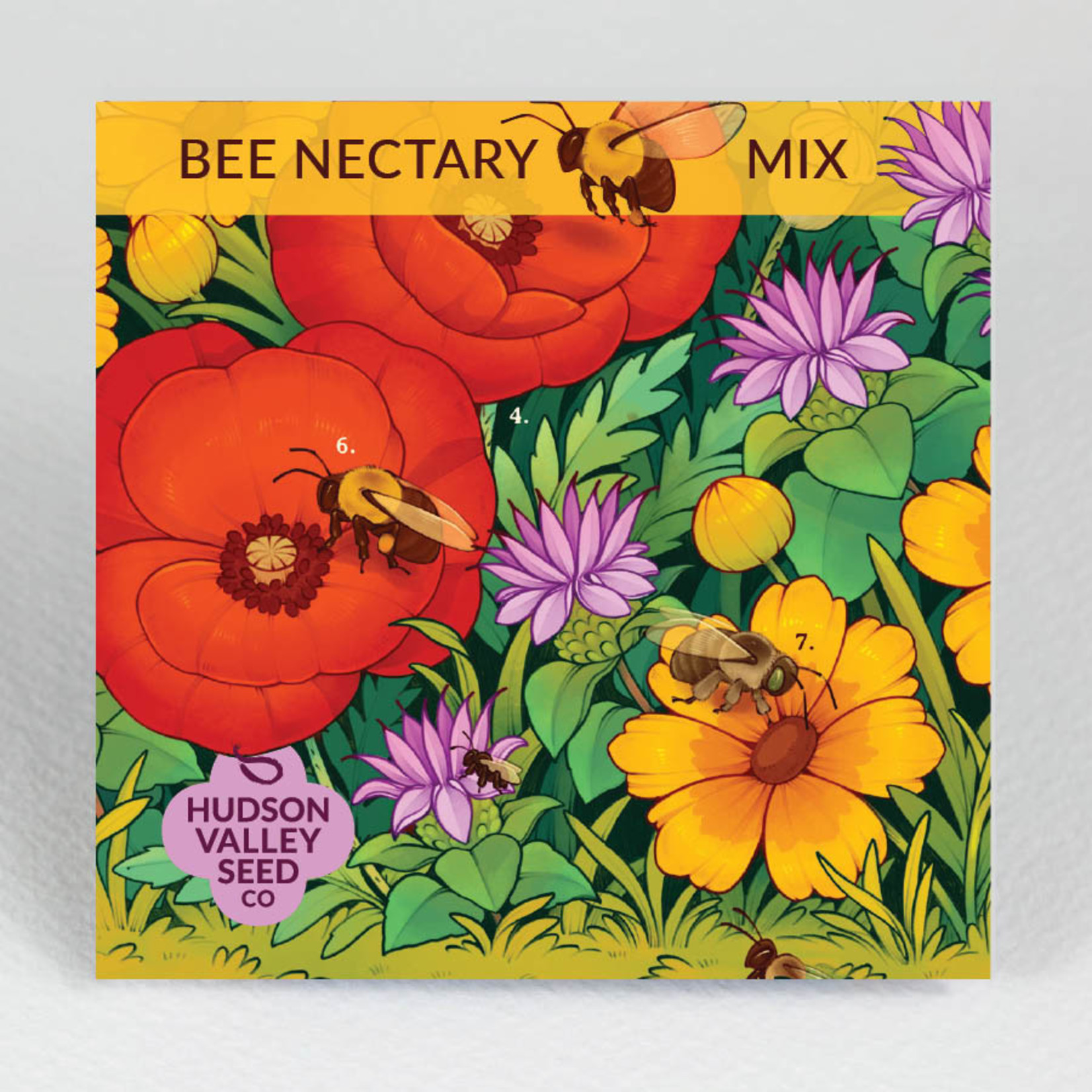 Hudson Valley Seeds Bee Nectary Mix
