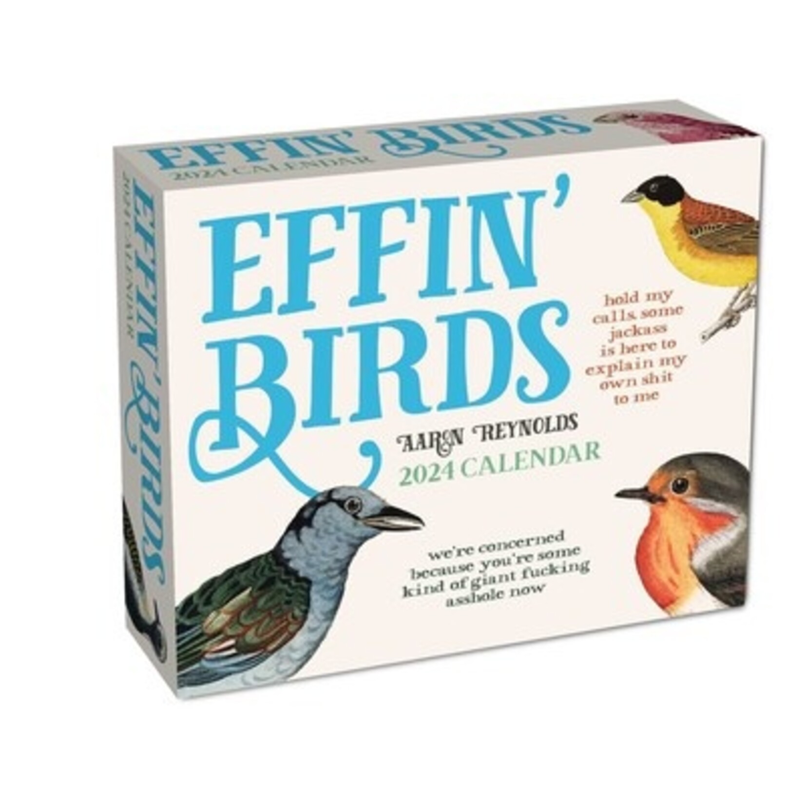 Simon and Schuster Effin' Birds  Boxed Calendar 2024