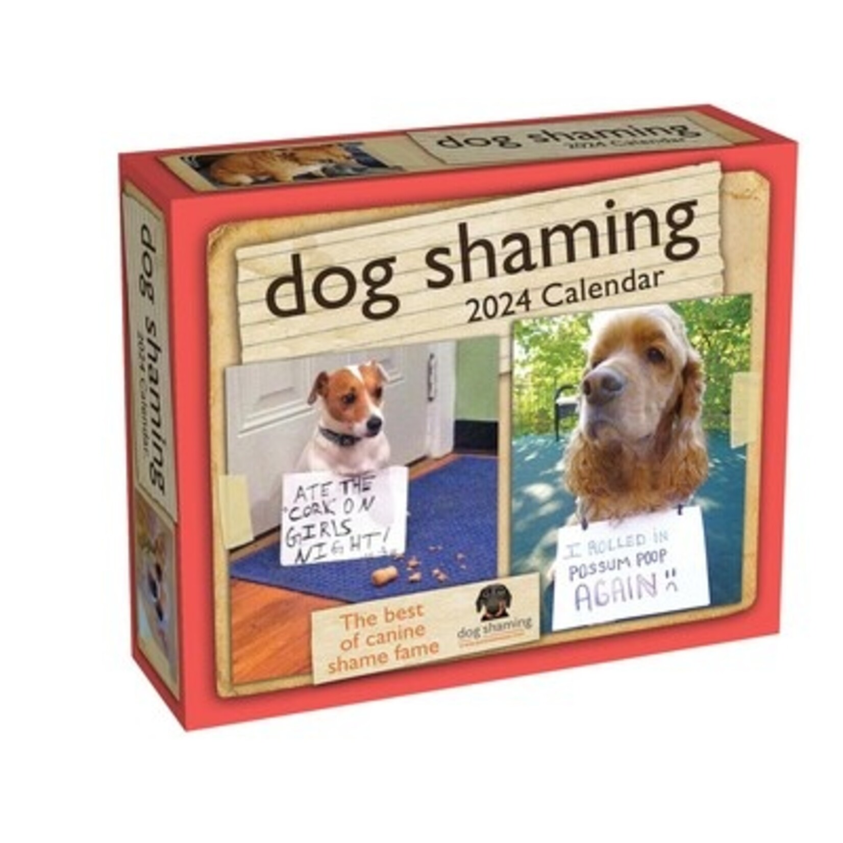 Dog Shaming Boxed Calendar 2024 Exit9 Gift Emporium