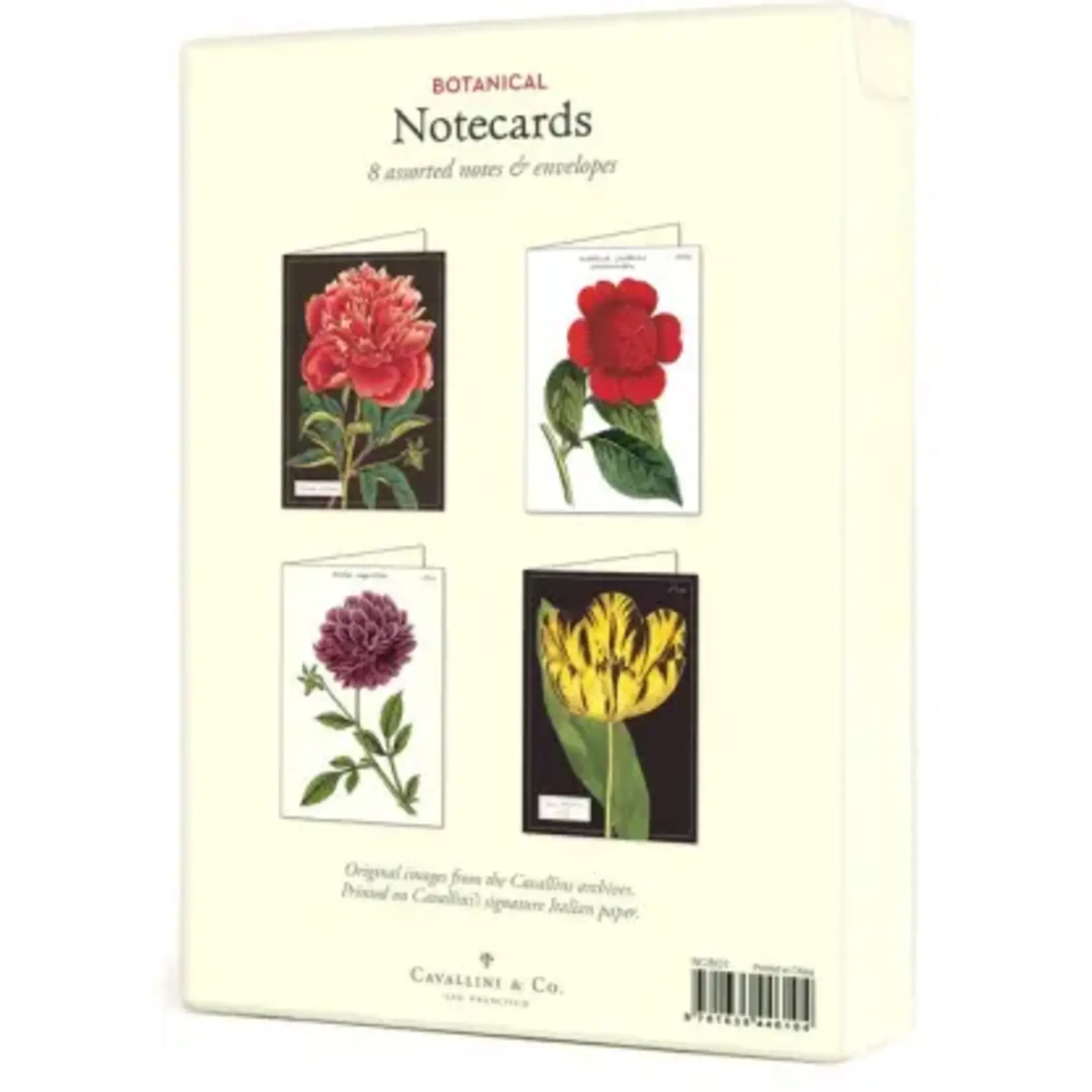 Cavallini Botanical Boxed Note Cards