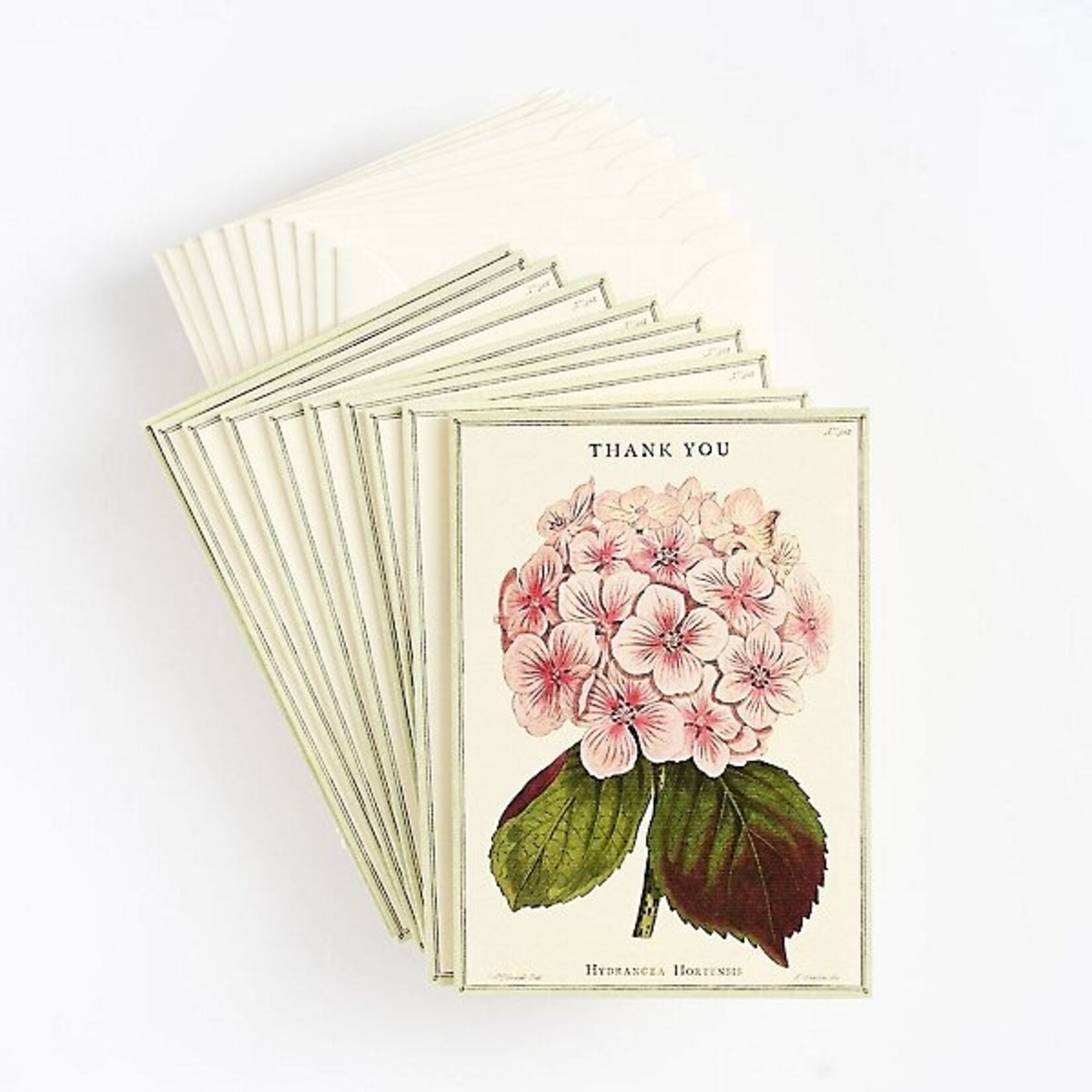 Fleur Thank You Boxed Cards