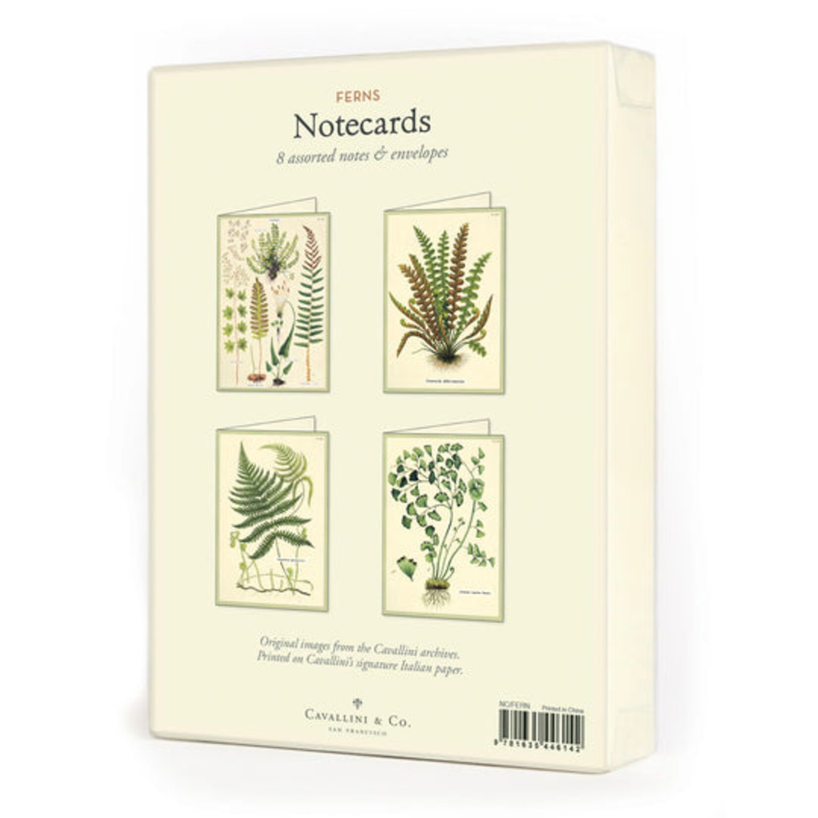Cavallini Ferns Boxed Note Cards