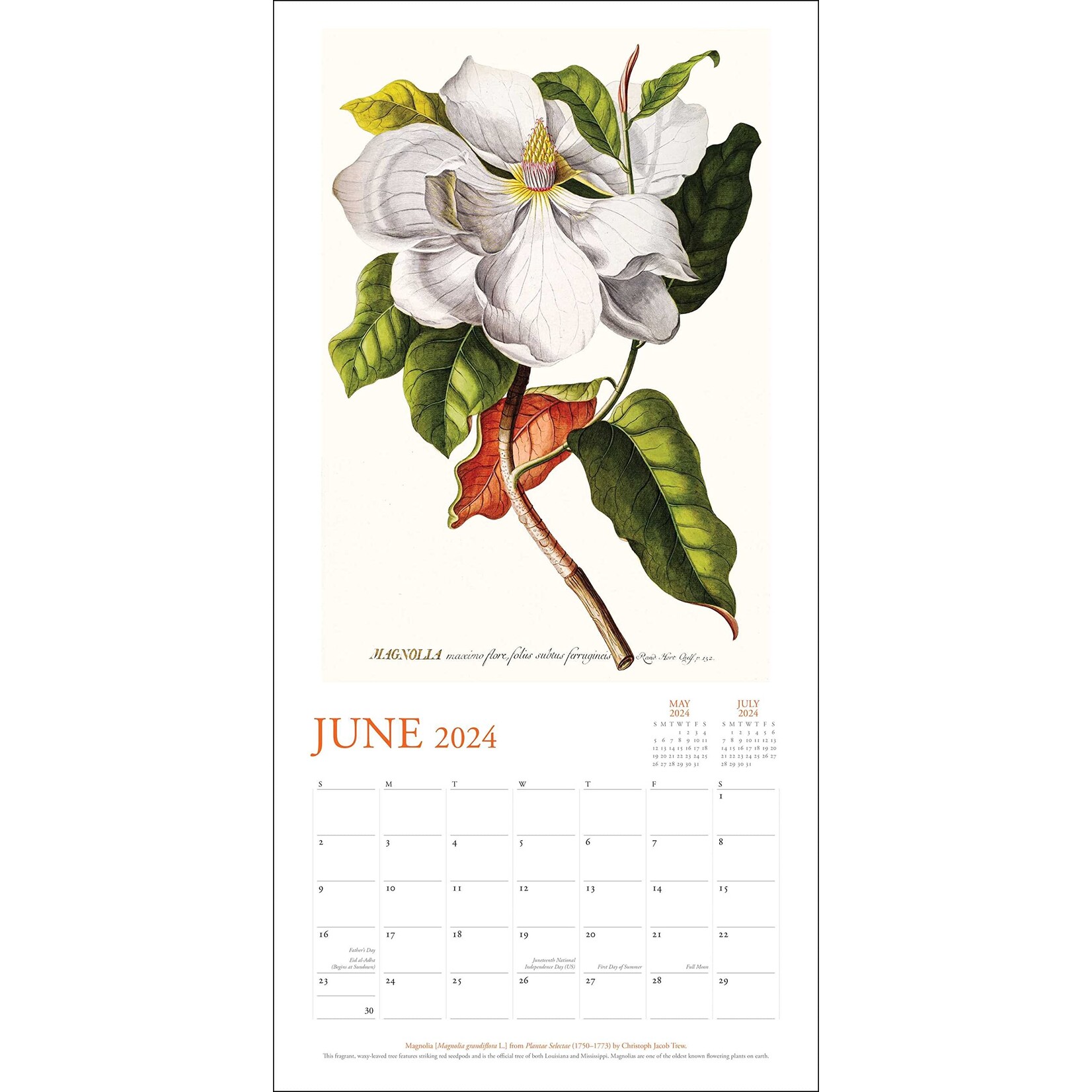 Simon and Schuster NY Botanical Garden  Wall Calendar 2024