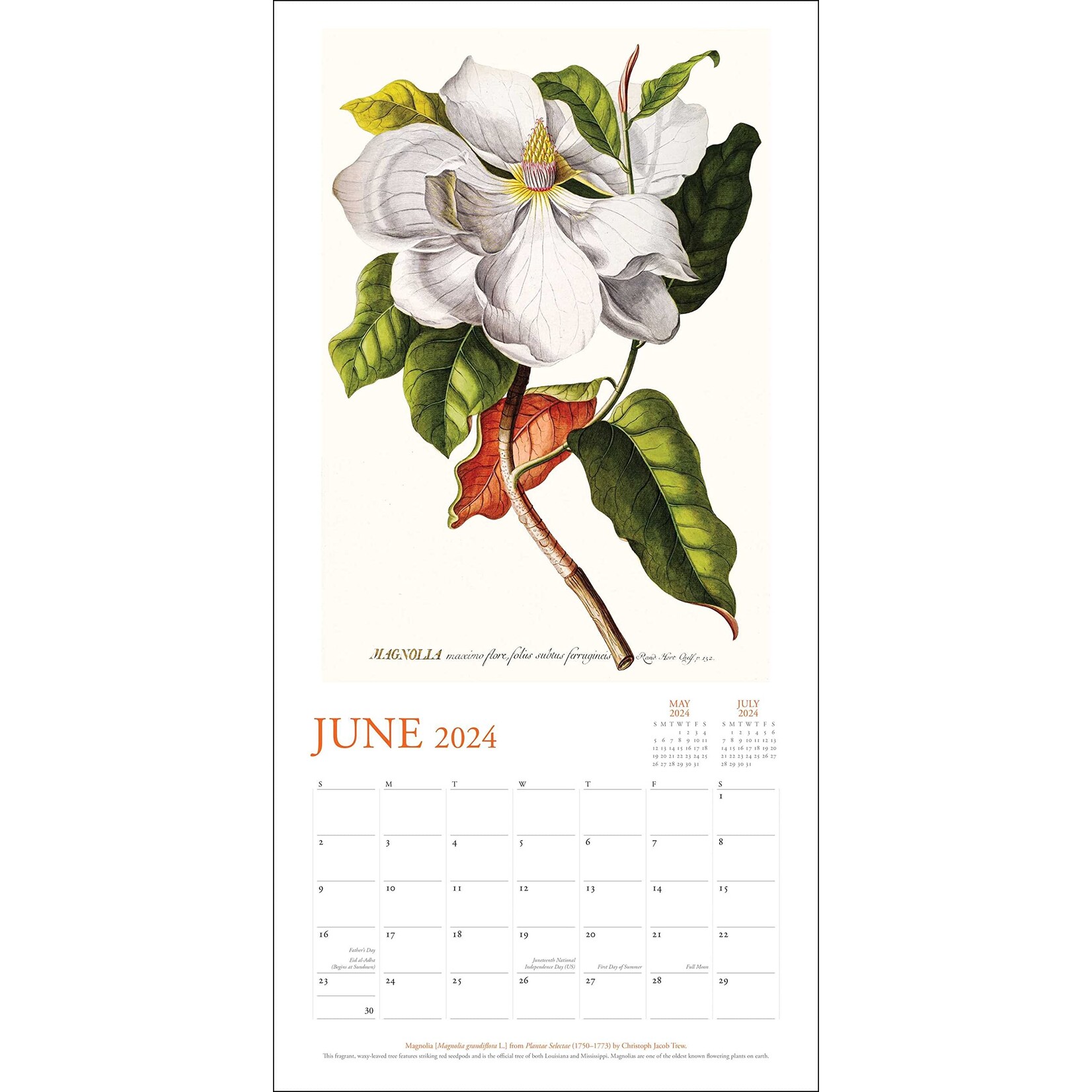 Simon and Schuster NY Botanical Garden  Wall Calendar 2026