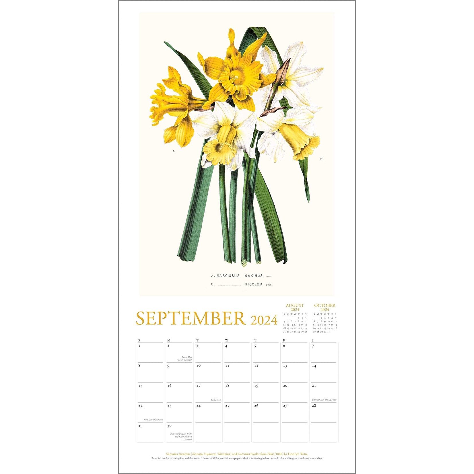 Simon and Schuster NY Botanical Garden  Wall Calendar 2024