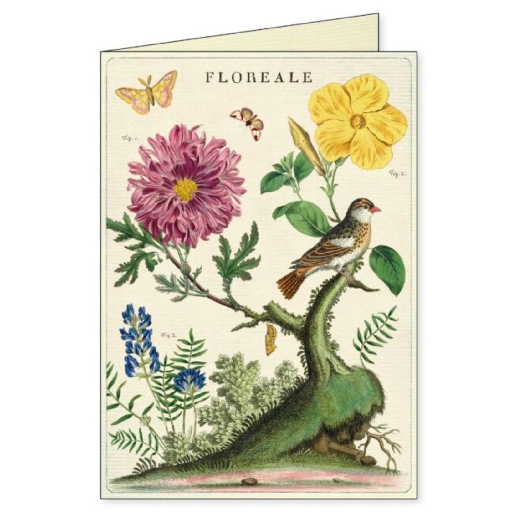 Floreale Boxed Note Cards