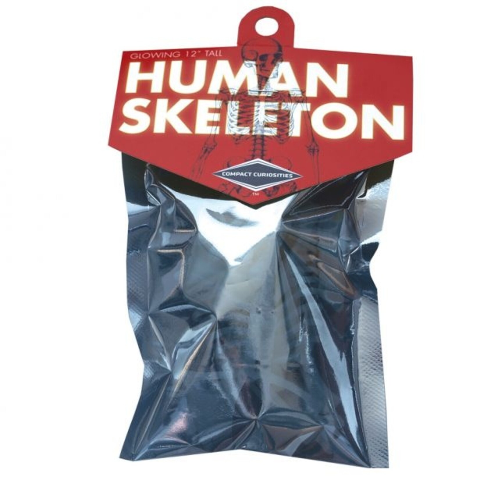 Glowing Human Skeleton Puzzle