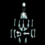 Glowing Human Skeleton Puzzle