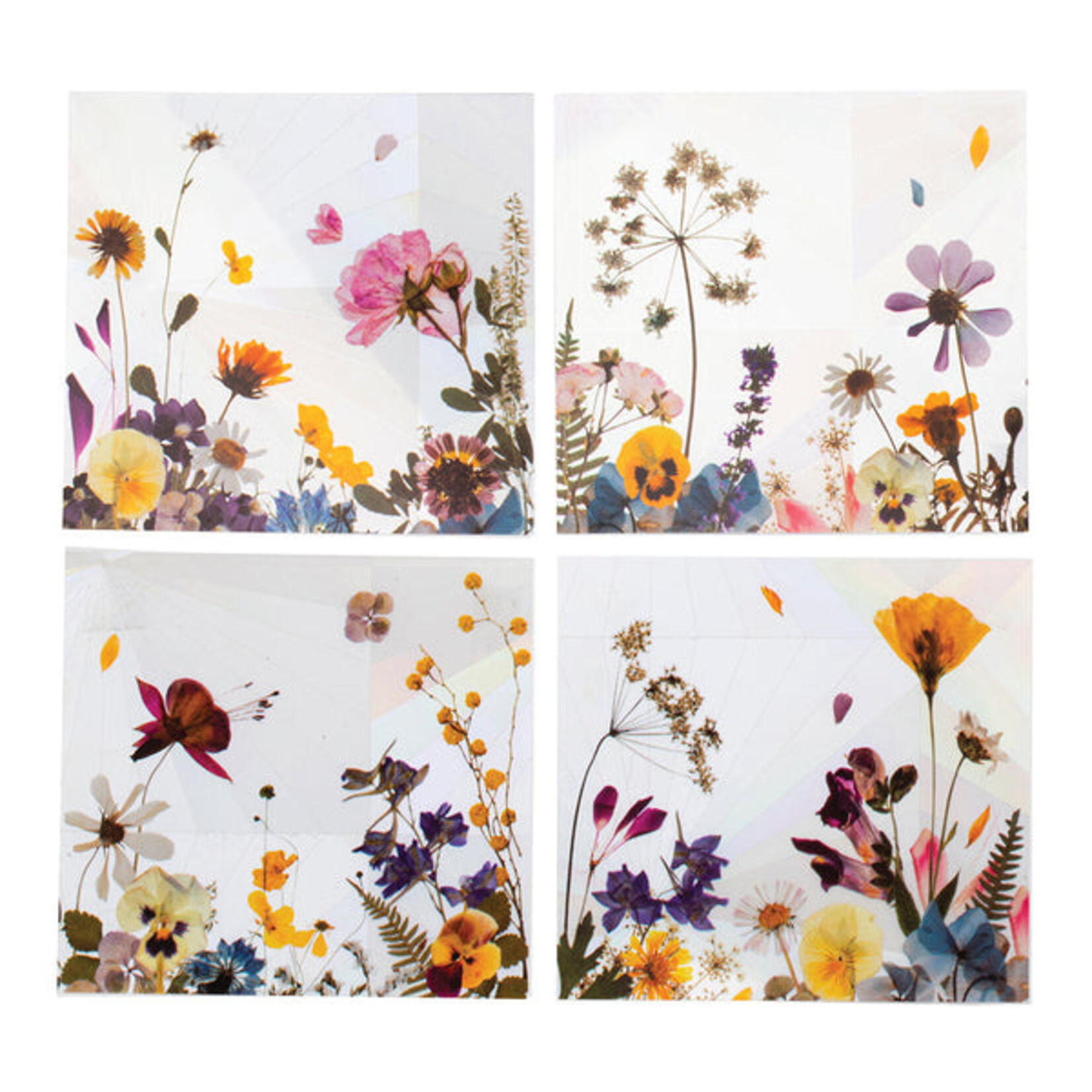 Scout Curated Wears Window Suncatcher Sticker Collection