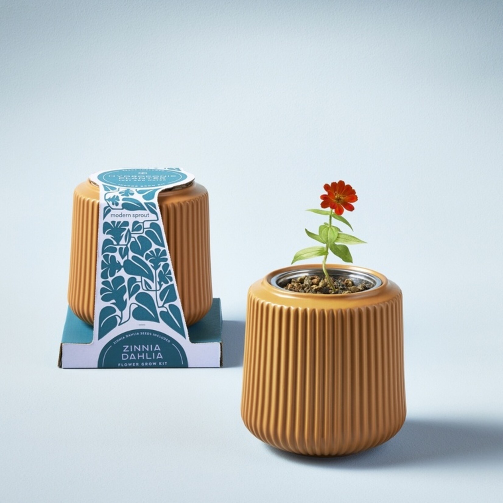 Modern Sprout Flower Grow Kit Collection