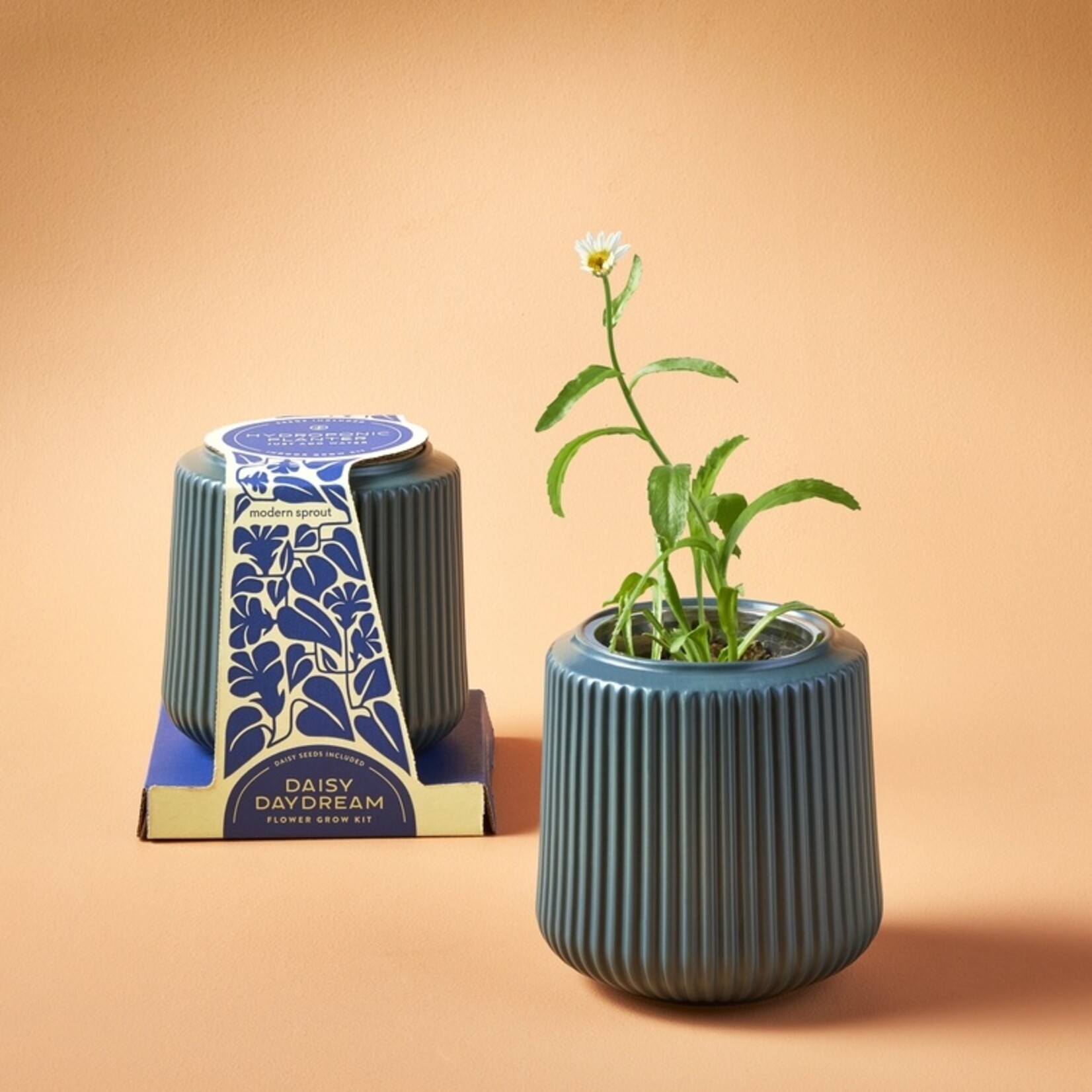 Modern Sprout Flower Grow Kit Collection