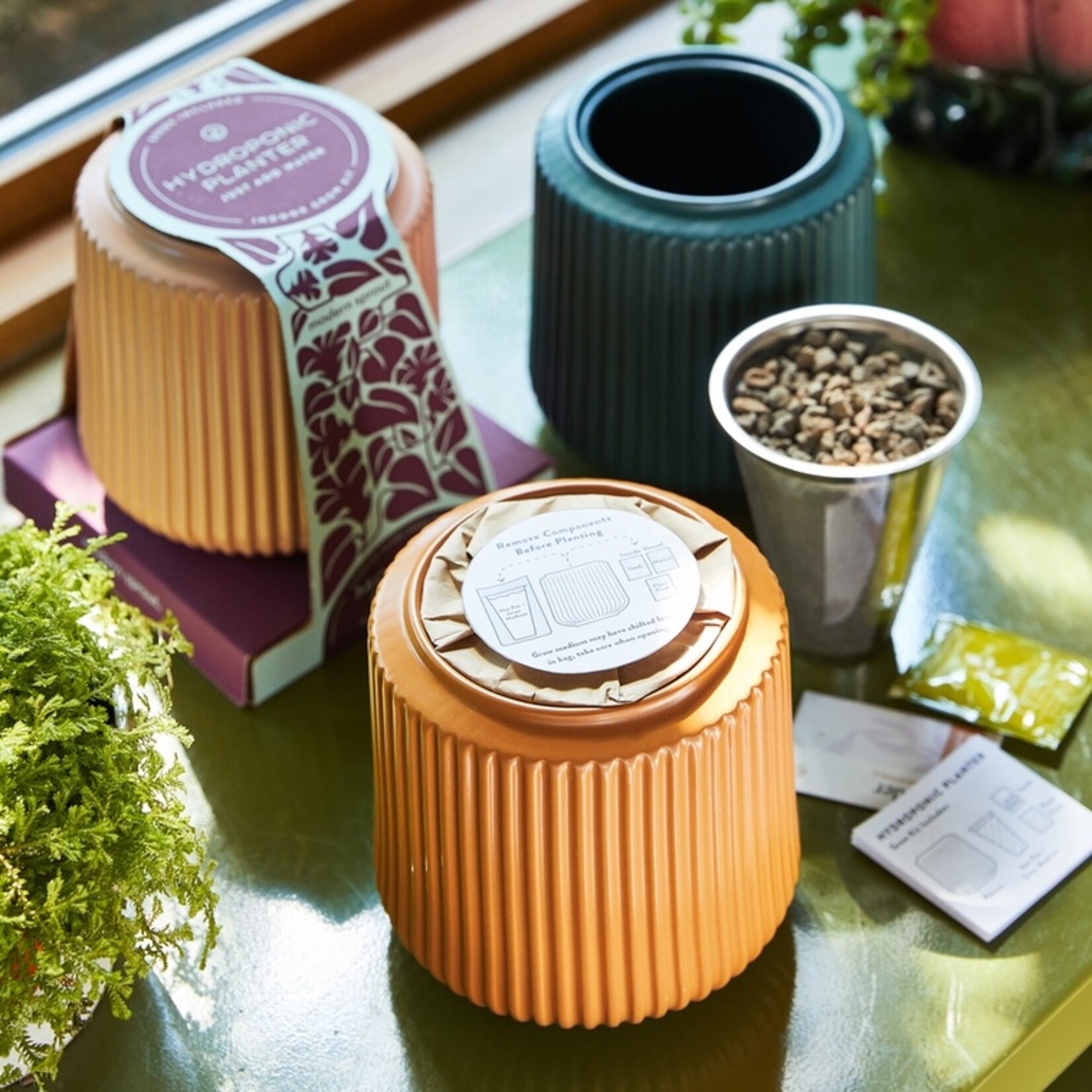 Modern Sprout Flower Grow Kit Collection