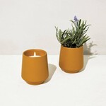 Rooted Candle Collection