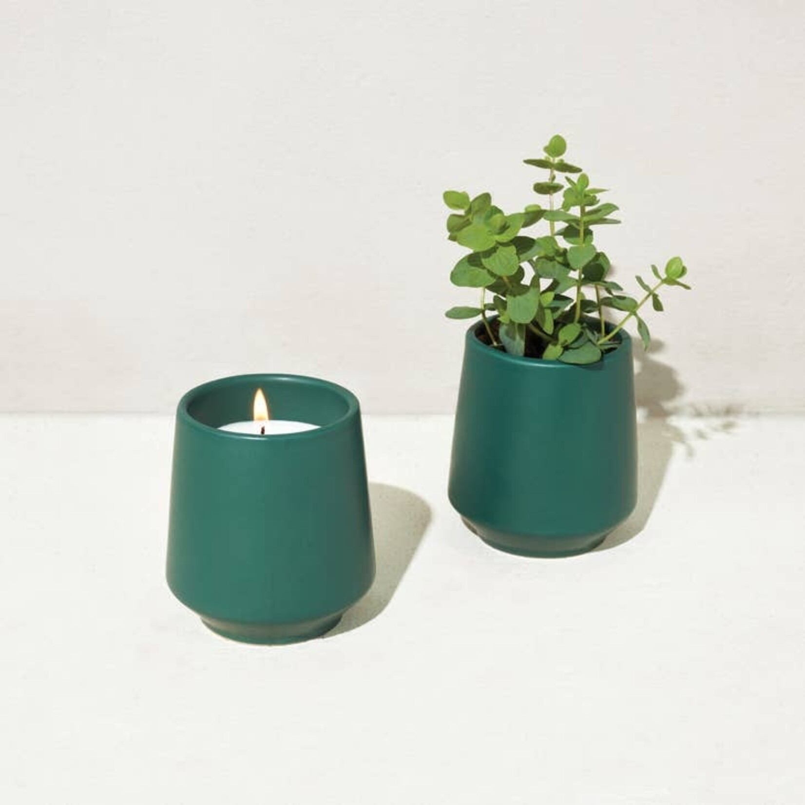 Rooted Candle Collection
