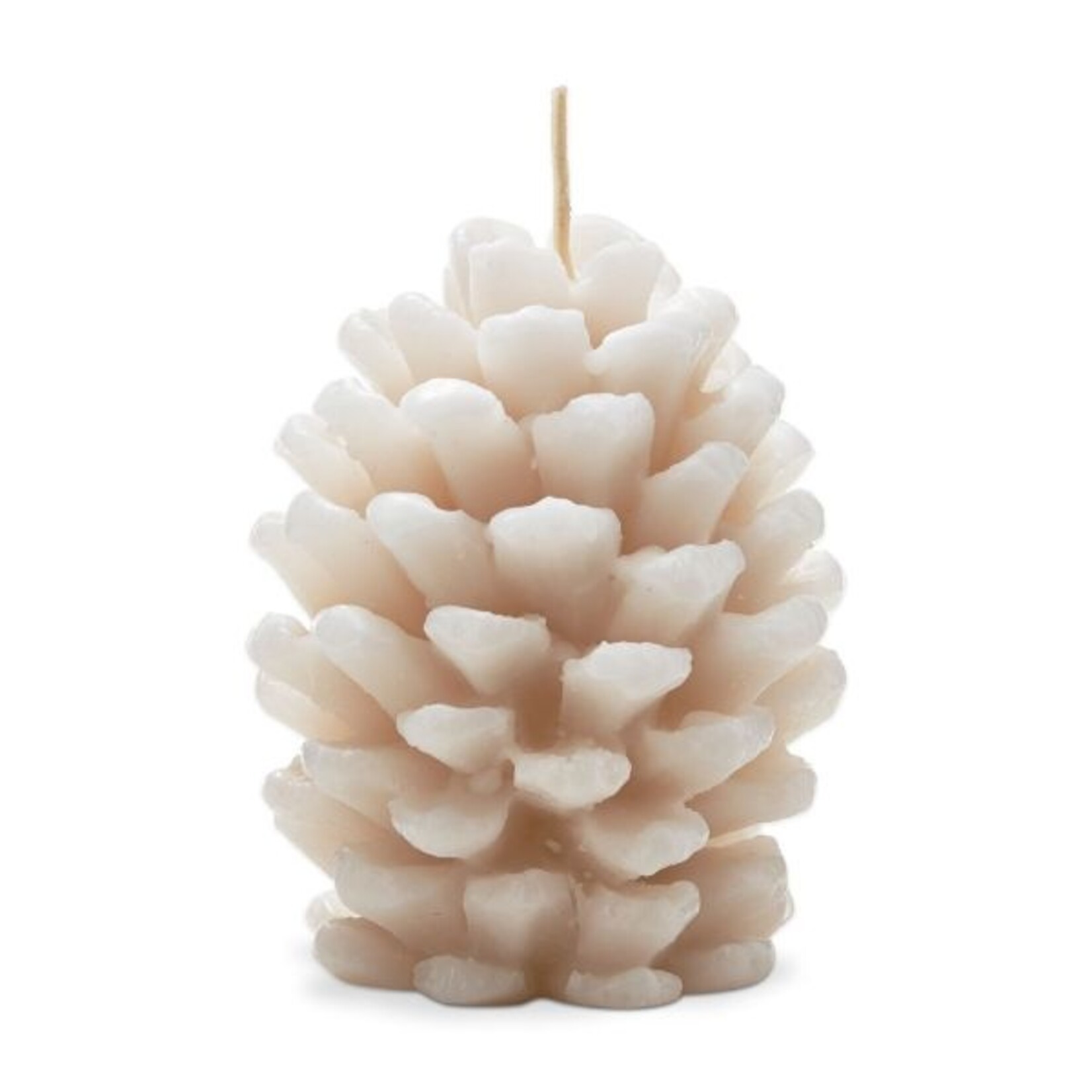 Tag Frosted Pinecone Candle in Ivory