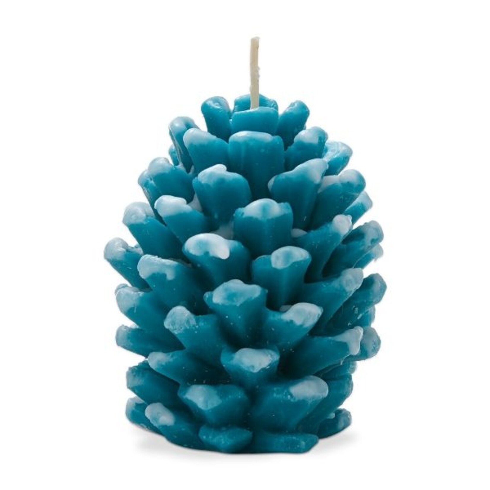 Tag Frosted Pinecone Candle in Turquoise