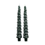 Spruce Taper Candle Set in Green