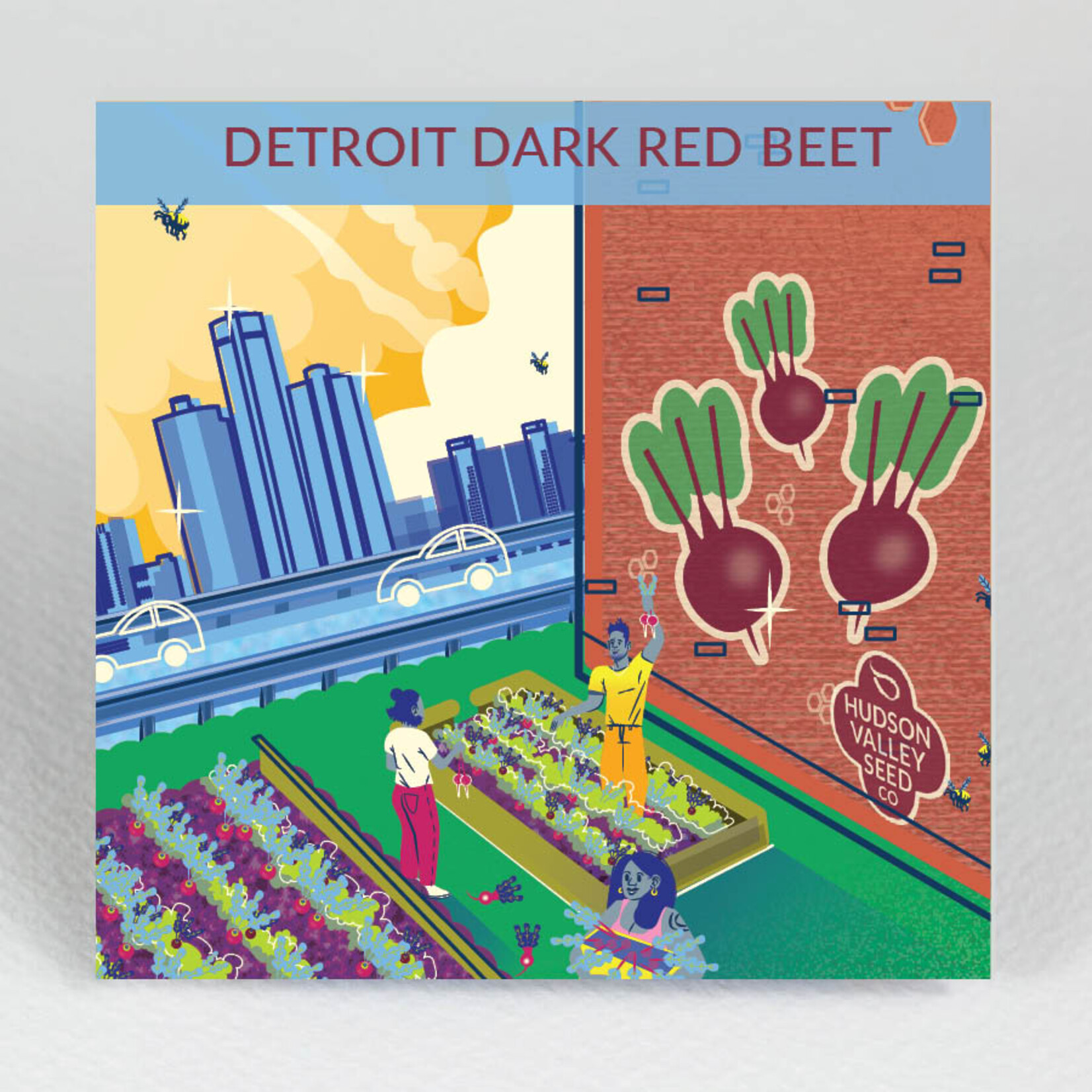 Hudson Valley Seeds Detroit Dark Red Beet