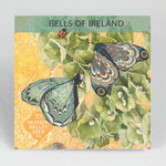 Hudson Valley Seeds Bells of Ireland