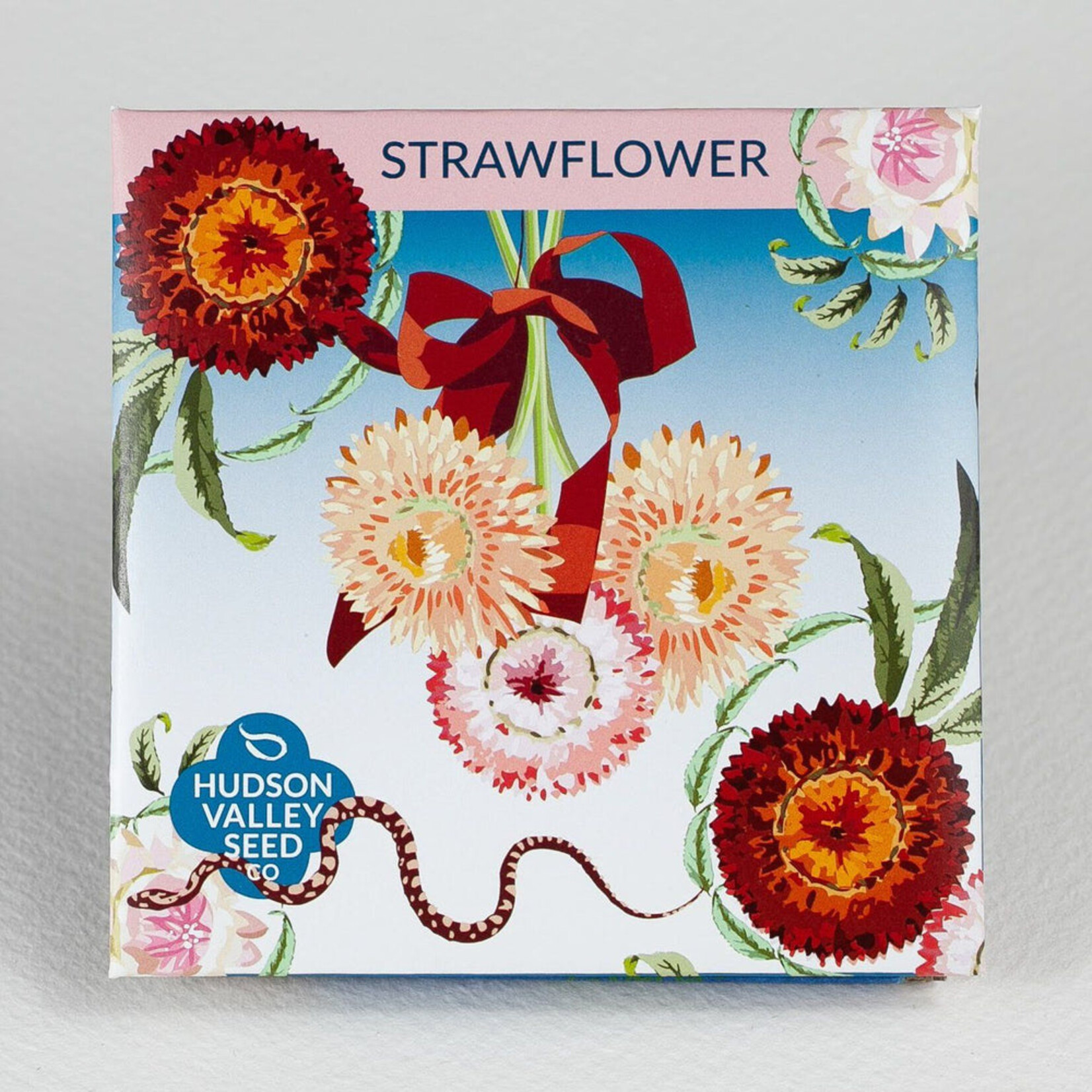 Hudson Valley Seeds Strawflower