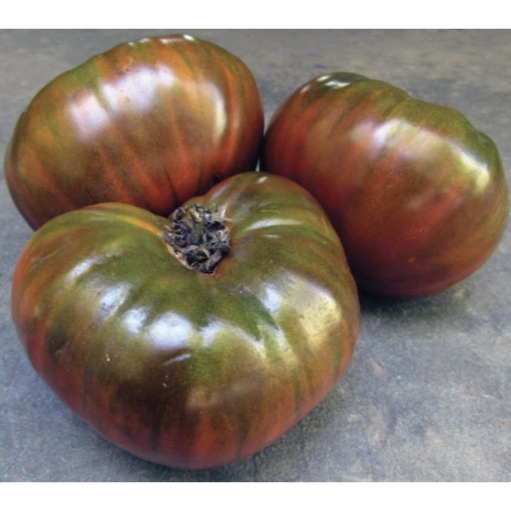 Hudson Valley Seeds Paul Robeson Tomato