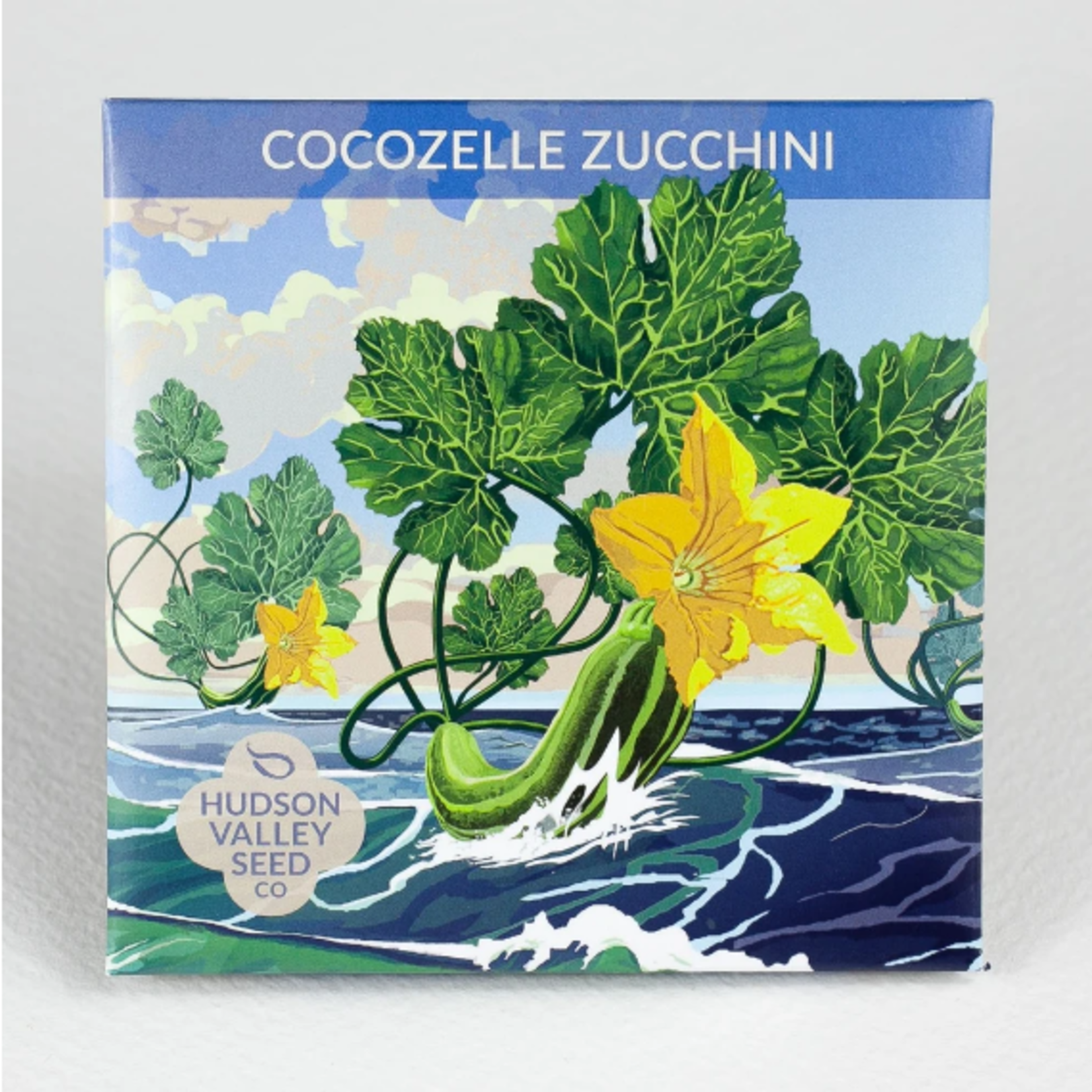Hudson Valley Seeds Cocozelle Zucchini