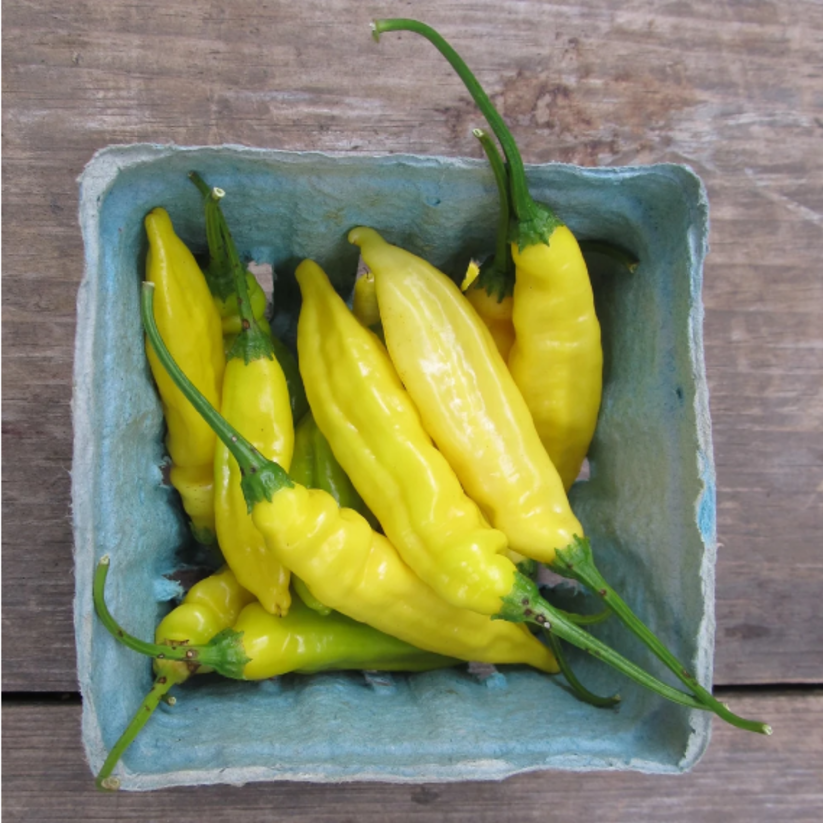 Hudson Valley Seeds Lemon Drop Hot Pepper