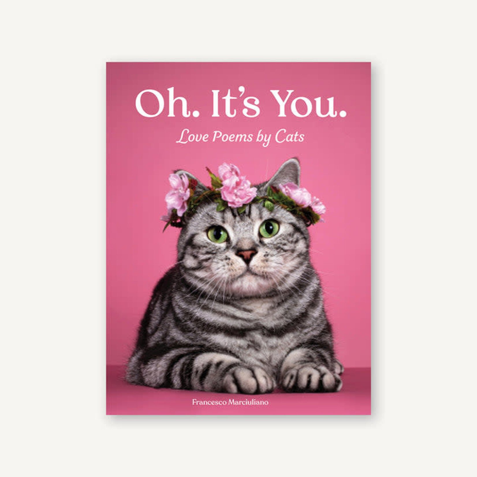 Chronicle Books Oh. It's You.