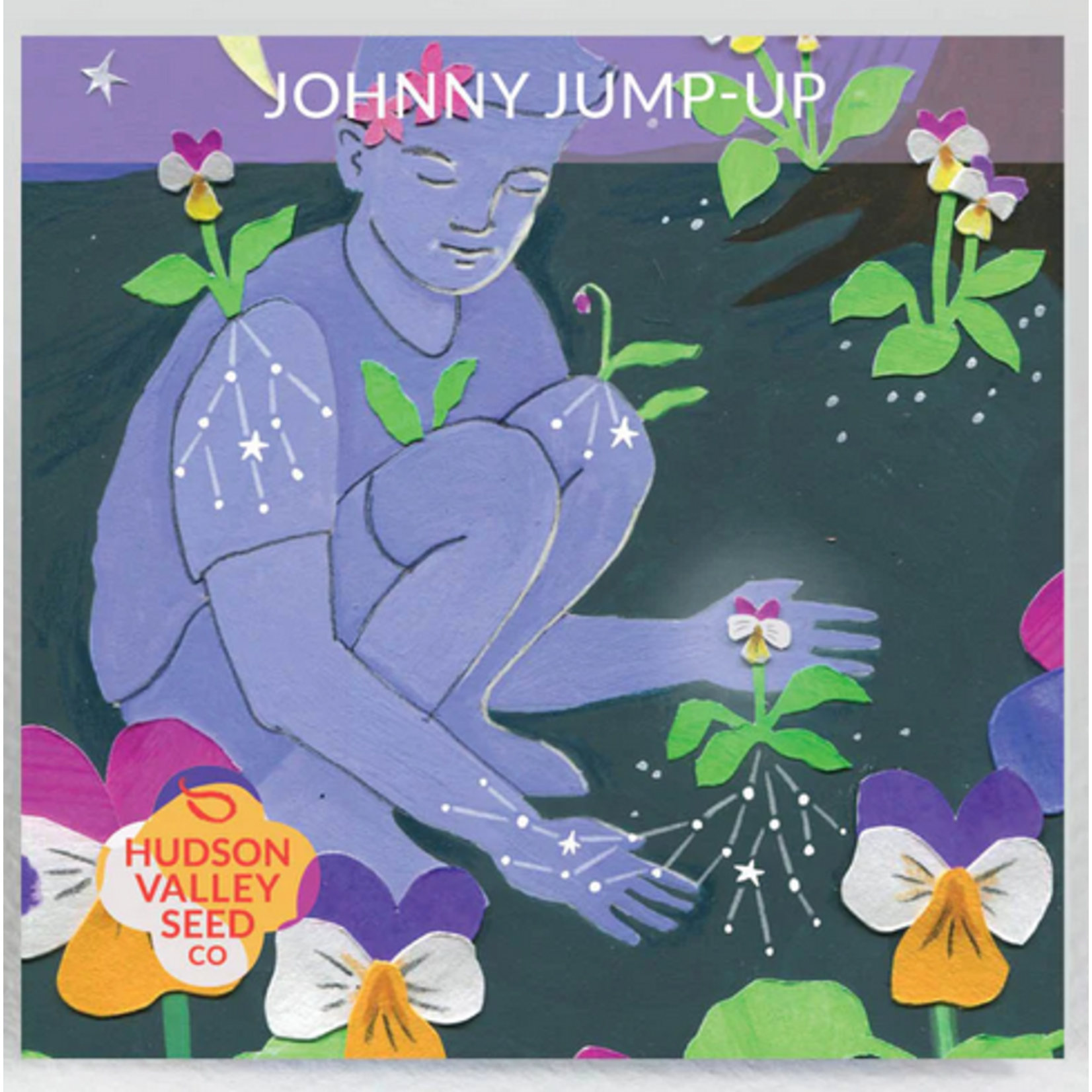 Hudson Valley Seeds Johnny Jump Up