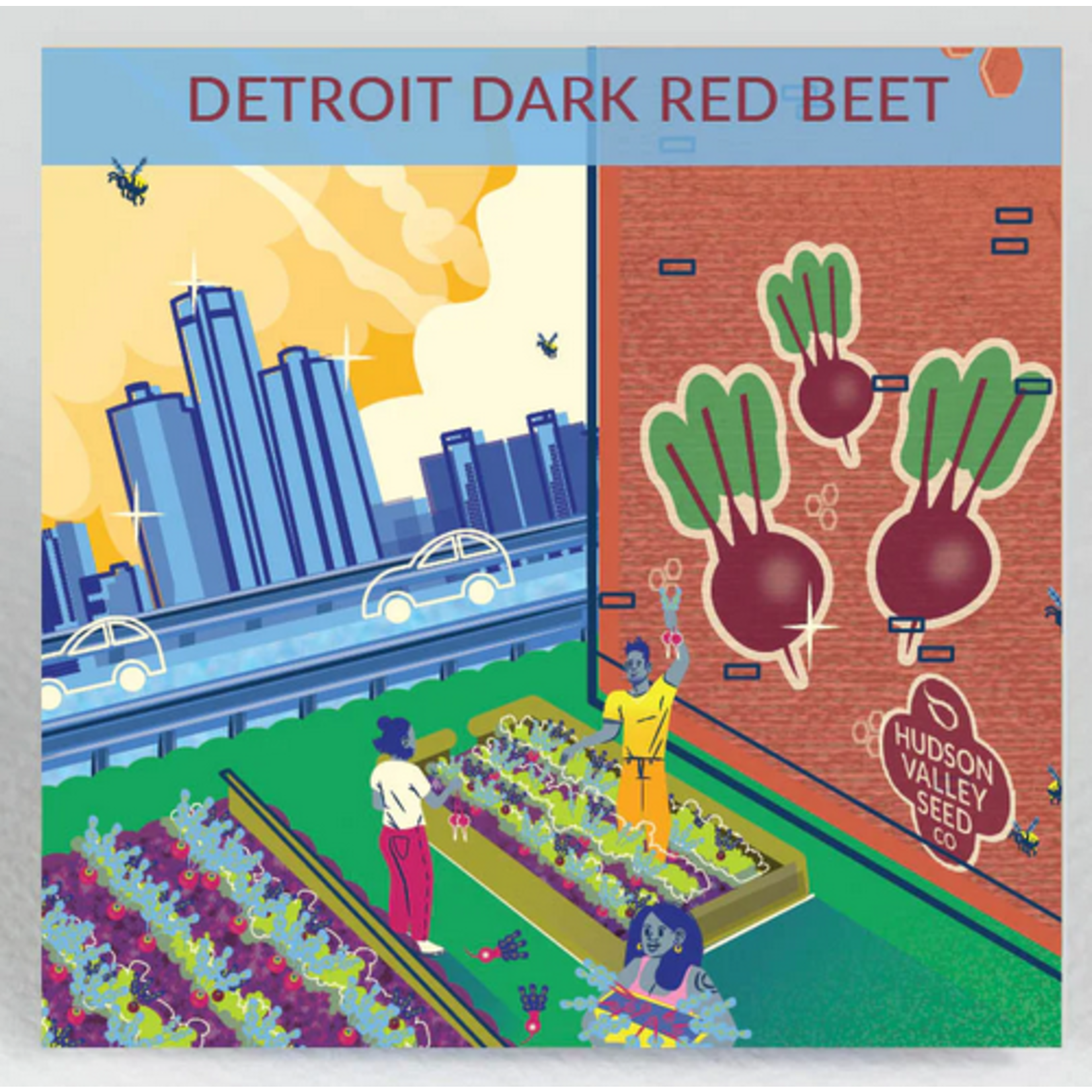 Hudson Valley Seeds Detroit Dark Red Beet