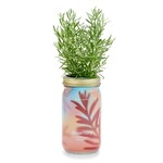 Modern Sprout Rosemary Garden Jar