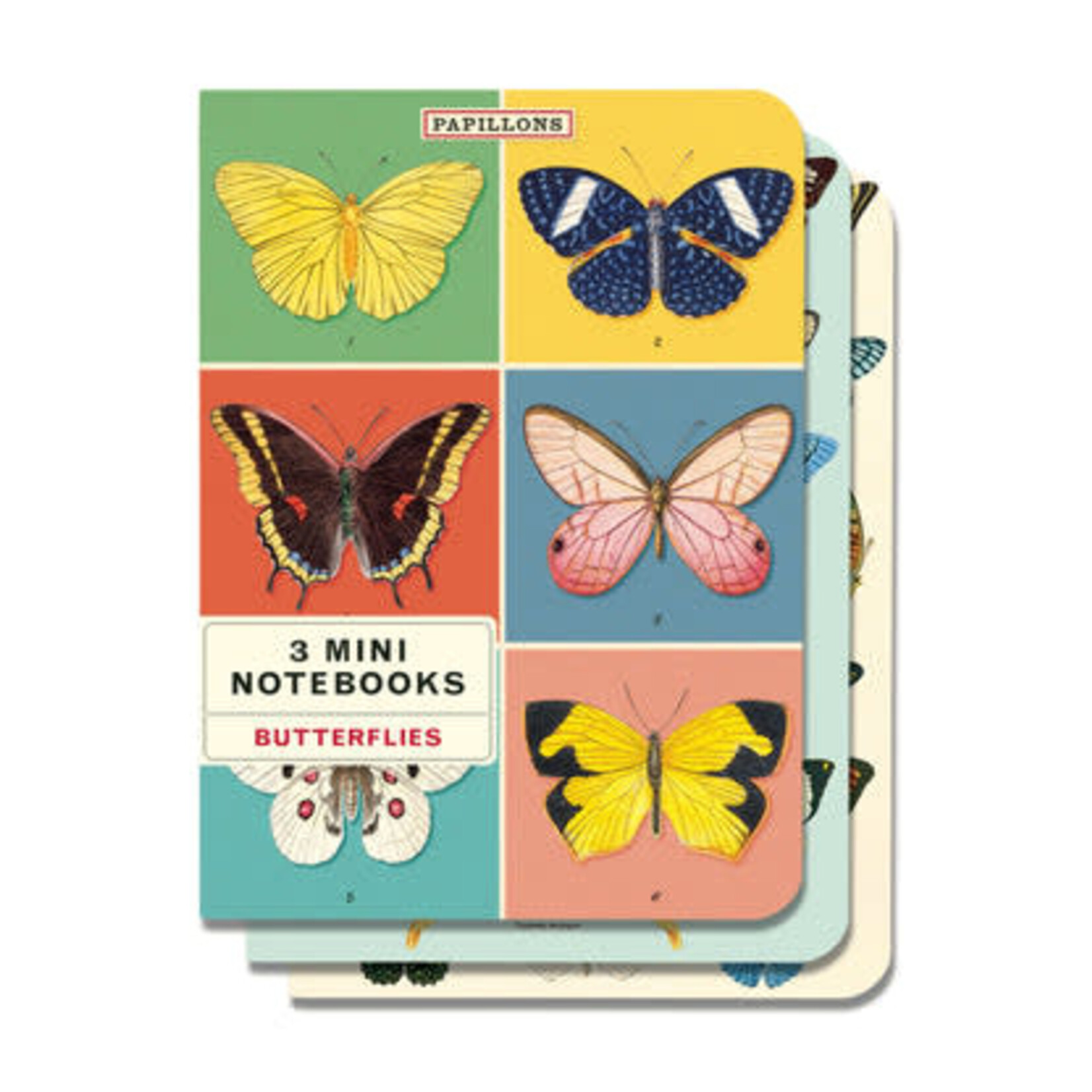 Cavallini Mini Notebook 3 Pack