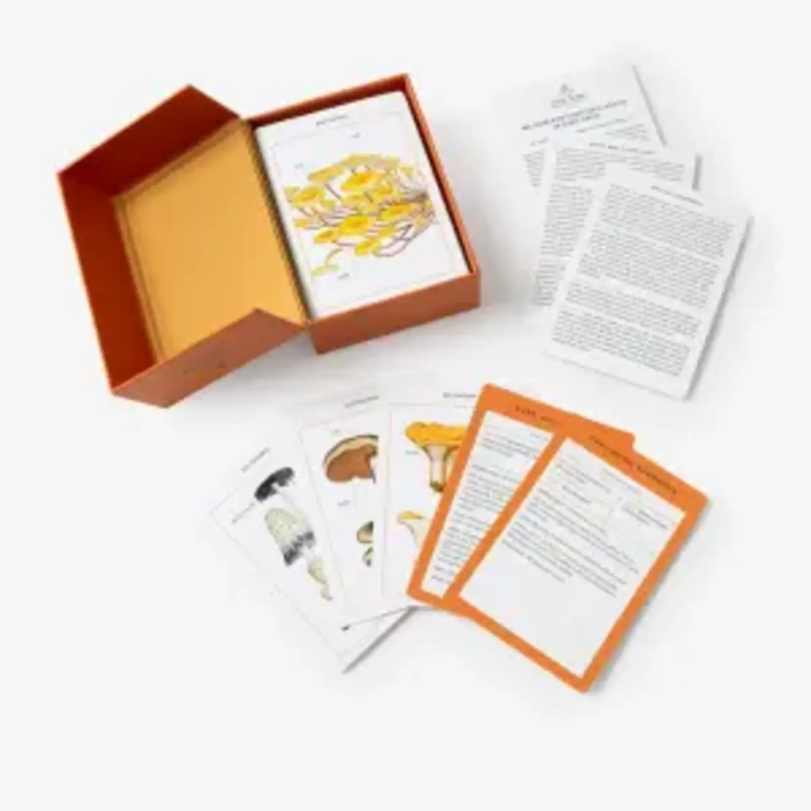 Penguin Random House NY Botanical Garden Mushroom Flashcards