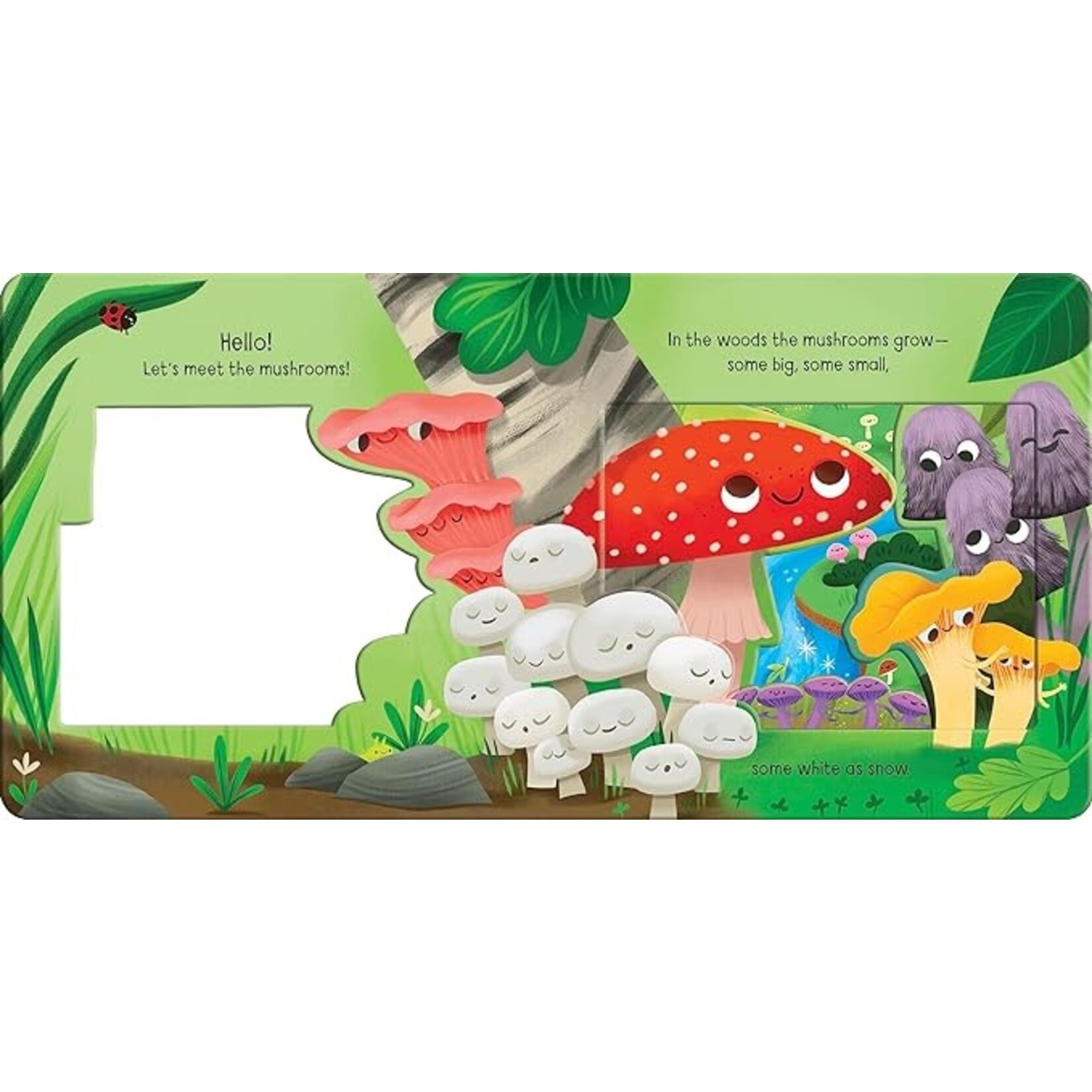 Penguin Random House Meet The Mushrooms!