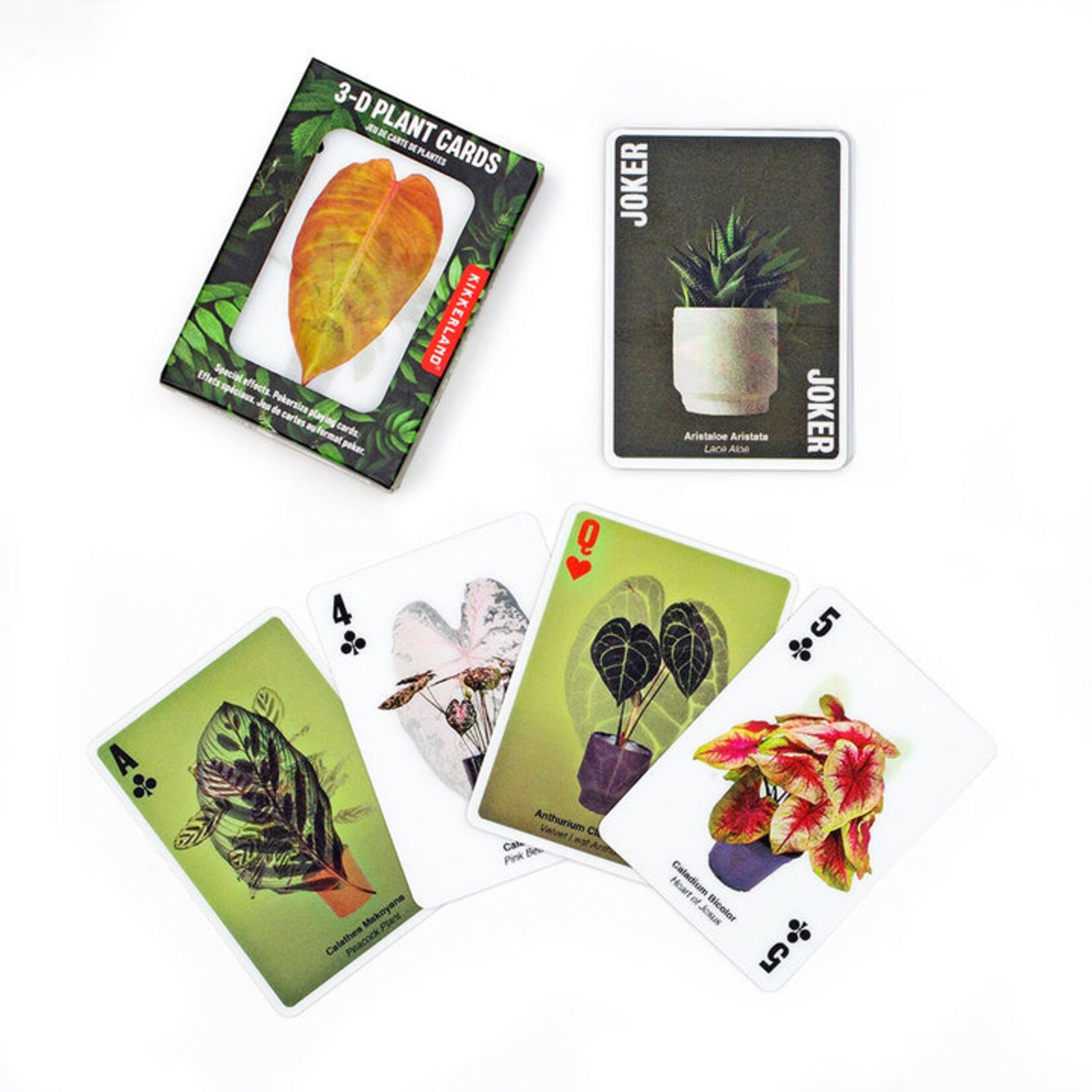 3D Plant Playing Cards