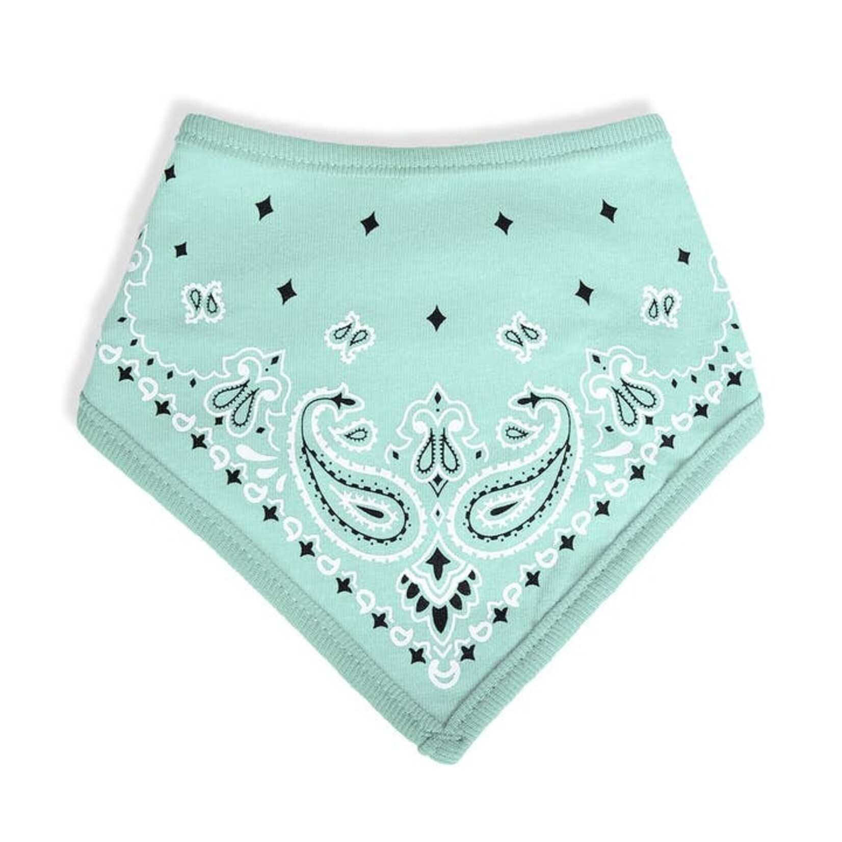 Bandana Bib in Mint