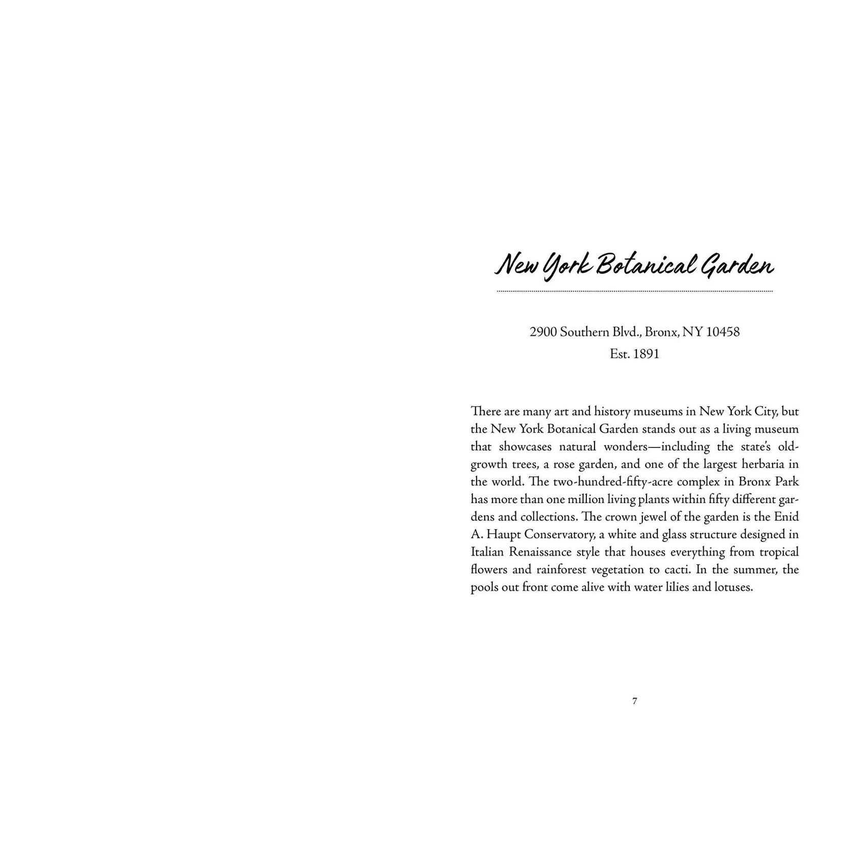 Simon and Schuster New York City : Color Your Own Travel Journal