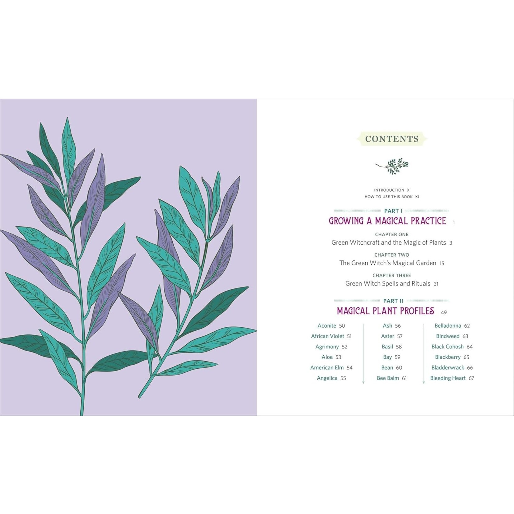 The Green Witchs Herb and Plant Encyclopedia