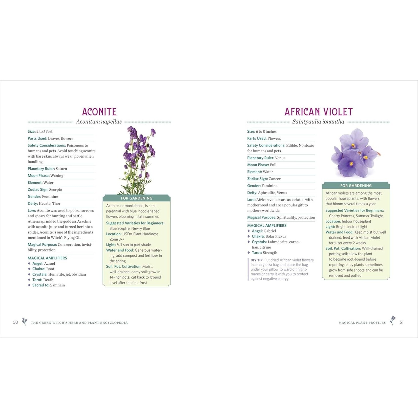 The Green Witchs Herb and Plant Encyclopedia