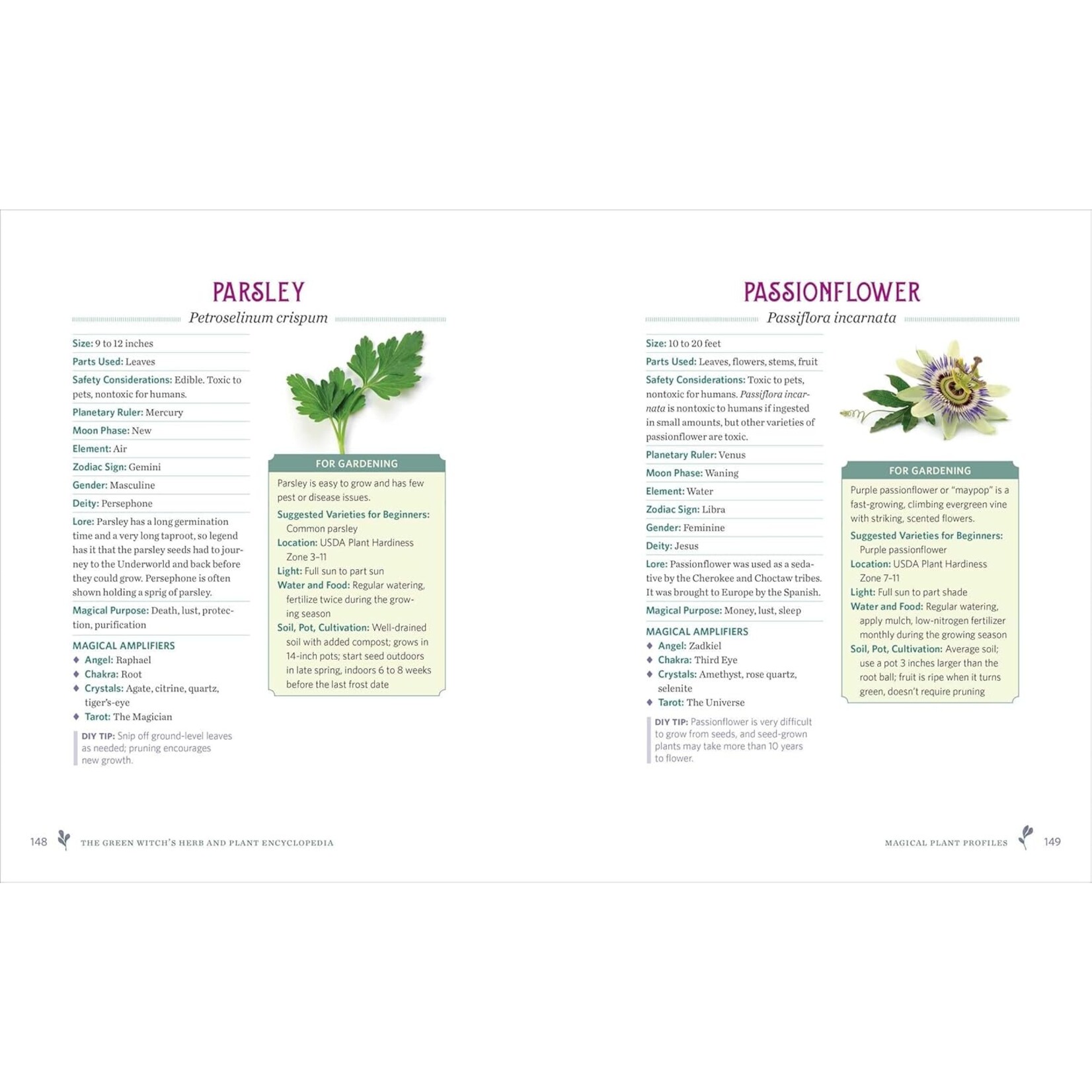 The Green Witchs Herb and Plant Encyclopedia
