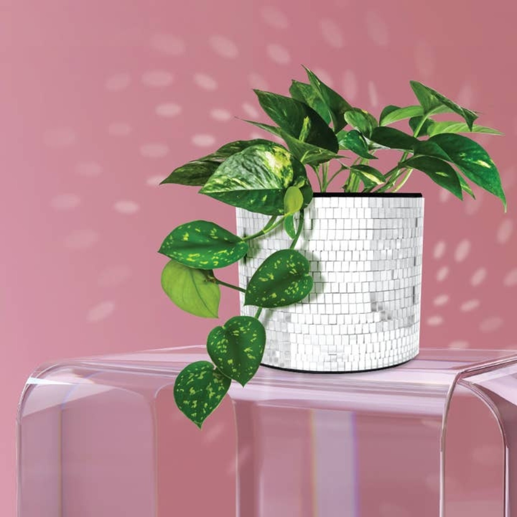 NPW Disco Tabletop Planter