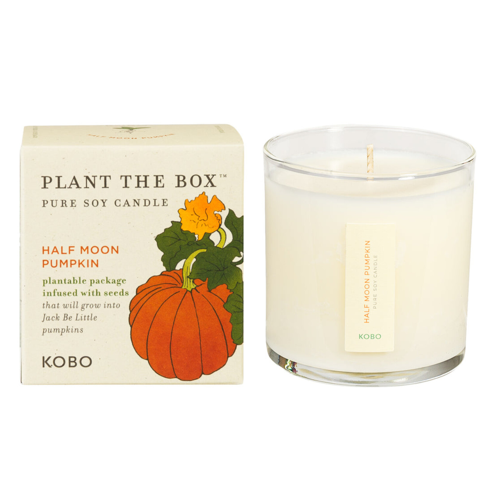 Half Moon Pumpkin Kobo Seed Candle