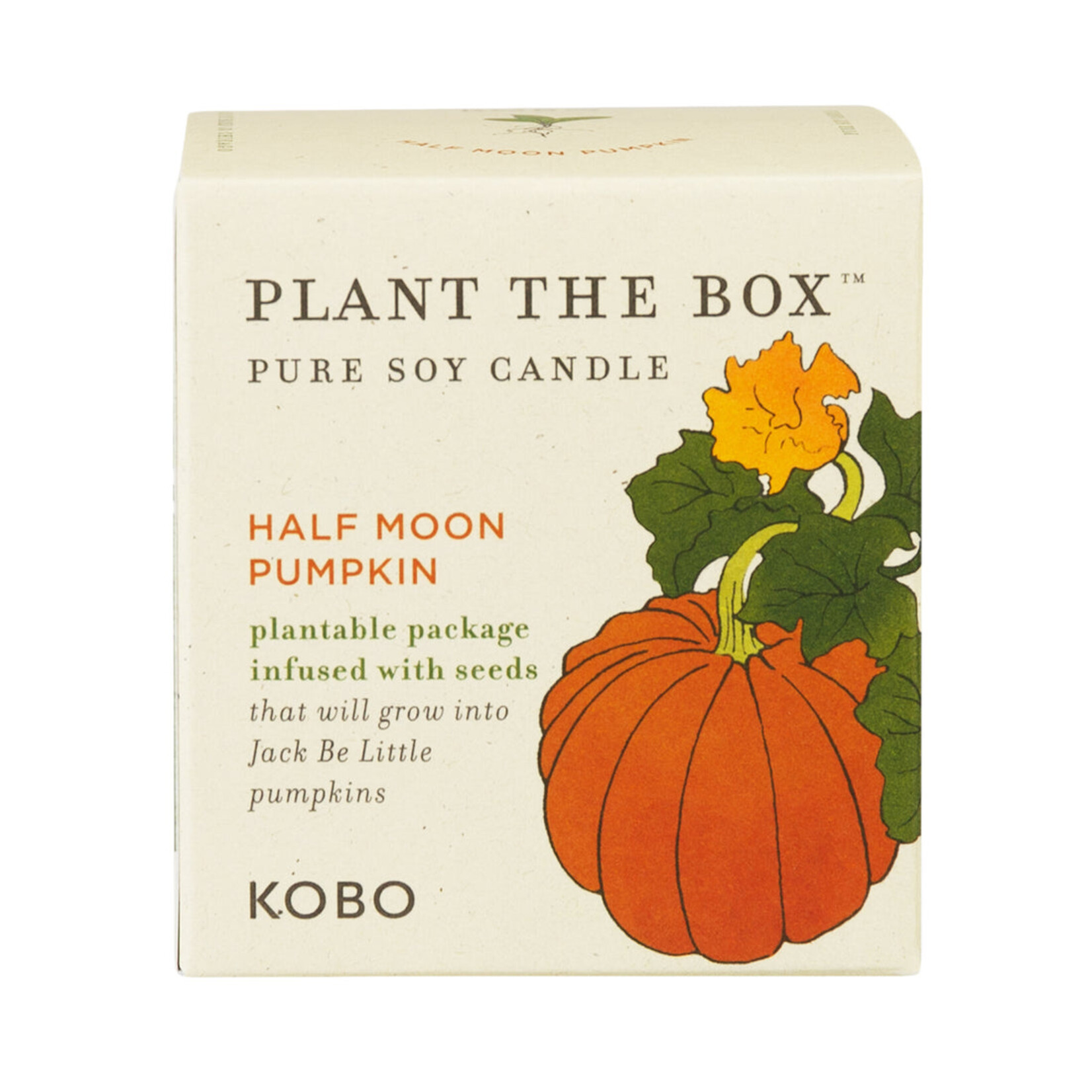 Half Moon Pumpkin Kobo Seed Candle