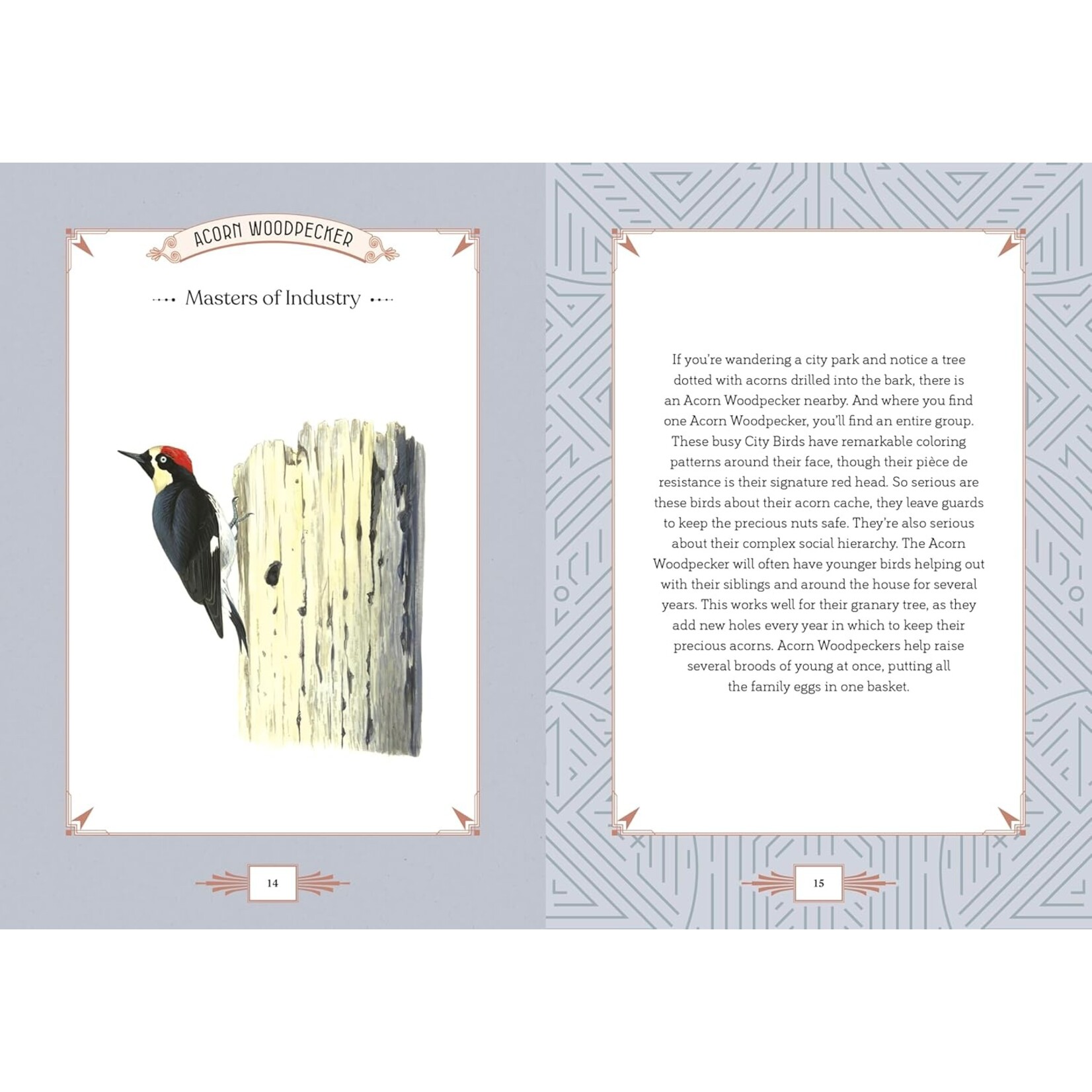 The Quarto Group City Bird