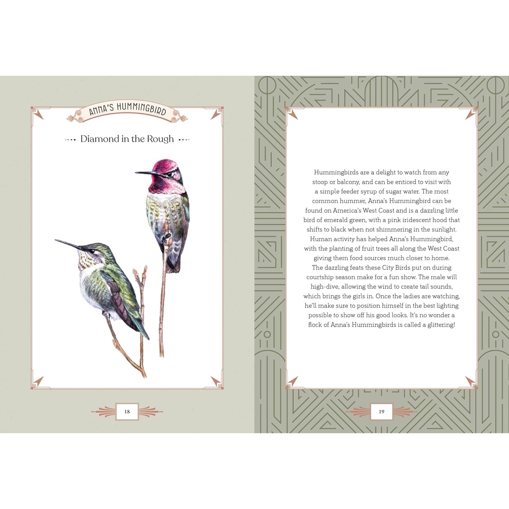 The Quarto Group City Bird