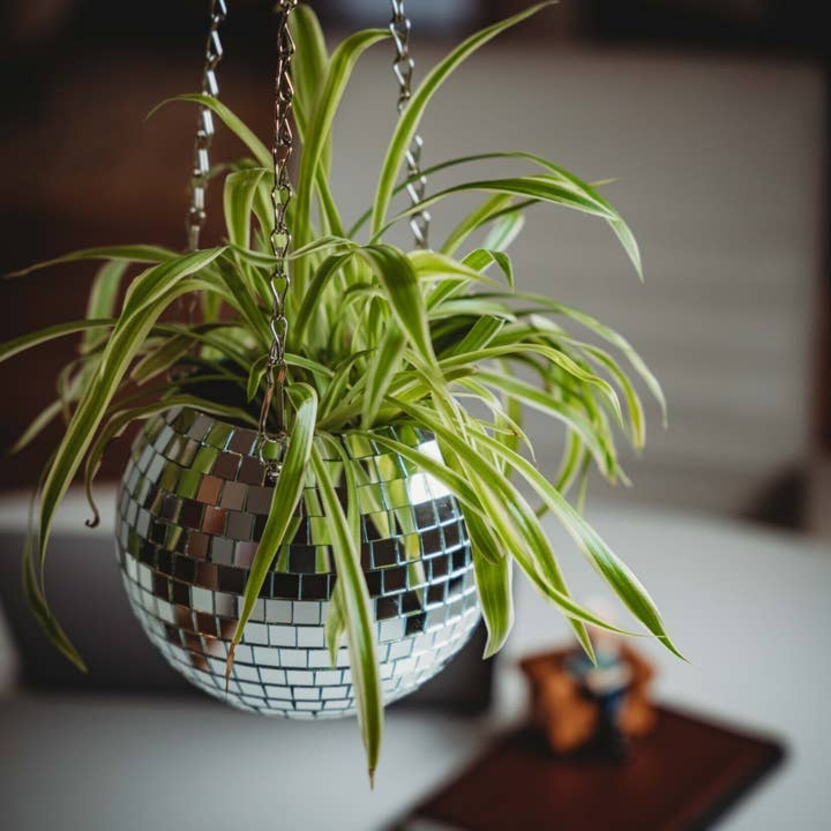 NPW Disco Hanging Planter